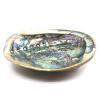 Abalone Shells Size : 15 to 18 cm (n°4)
