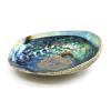Abalone Shells Size : 12 to 15 cm (n°3)