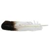Smudge Feathers Choix de Produit : Length 30cm