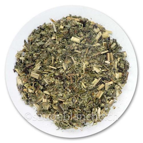 Mugwort or Artemisia vulgaris, 50g pouch