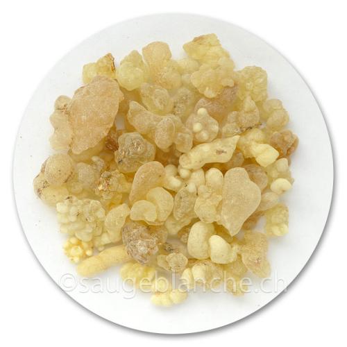 Ethiopian frankincense. Top quality Boswellia papyrifera resin. For your fumigations, alone or in a mixture