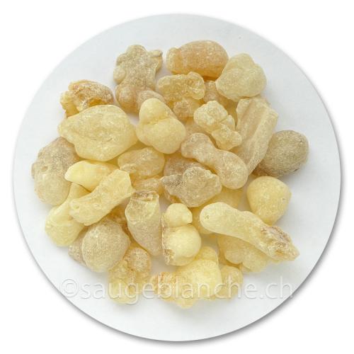 Somali frankincense grains. Resin of Boswellia Carterii. 40g of incense or tears of Somalia of first choice.
