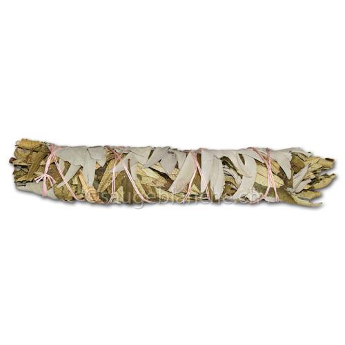 Large stick of California white sage and Yerba santa. Smoking for purification, divination or healing