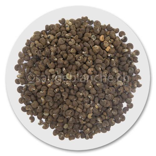 Ambrette seeds - Aphrodisiac properties, relaxation, letting go, open-mindedness, etc.