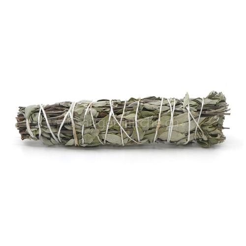Salvia officinalis sage sticks from Turkey, 14cm long and weighing approximately 25g