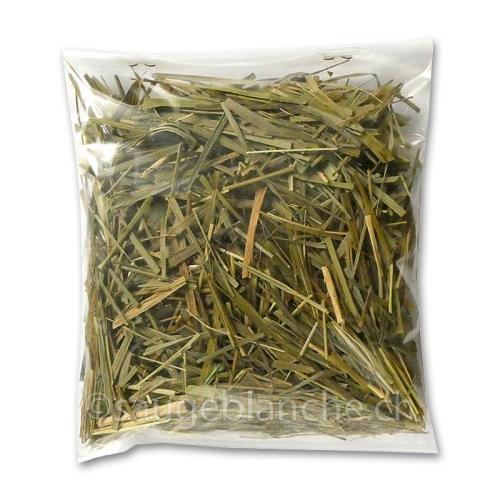 Sweet Grass ou Foin d'odeur. Pour attirer les esprits favorables après une fumigation de sauge blanche. Sachet de 20g