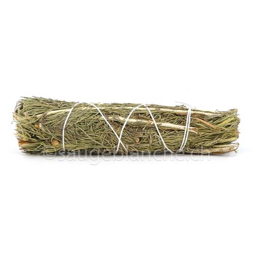 Sauge du Désert ou armoise Artemisia californica, augmente la force intérieure, soulage l'anxiété